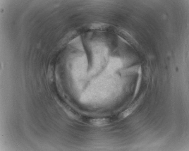 X0000079340273200612082032