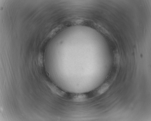 X0000079340274200612082032