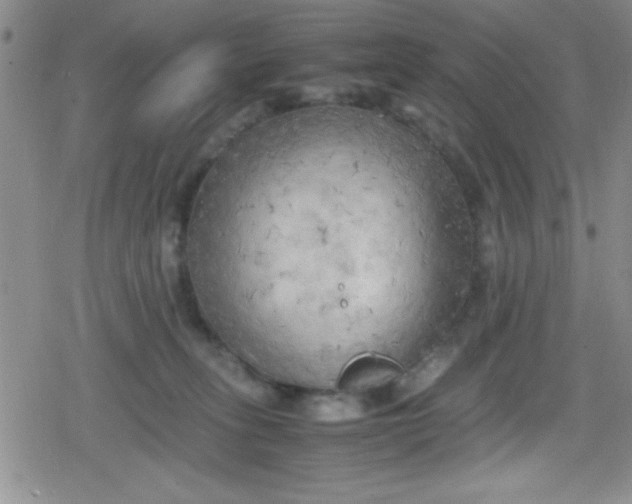 X0000079340275200612082032