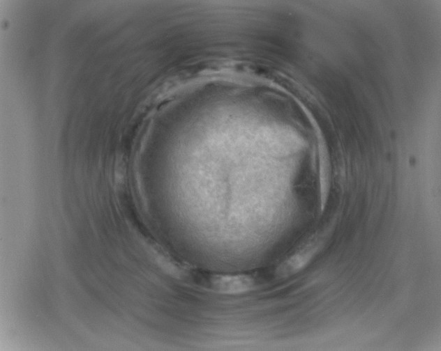 X0000079340277200612082032