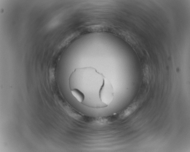 X0000079340278200612082032