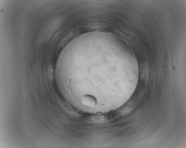 X0000079340279200612082032