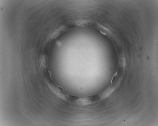 X0000079340280200612082032