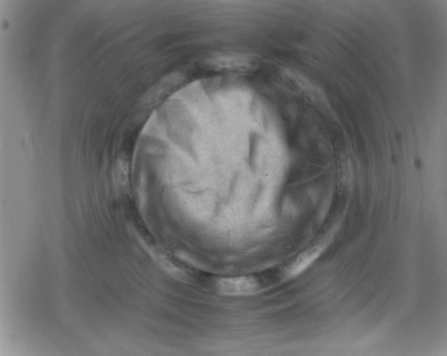 X0000079340281200612082032