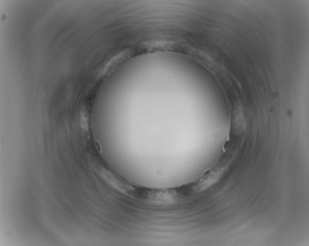 X0000079340282200612082032