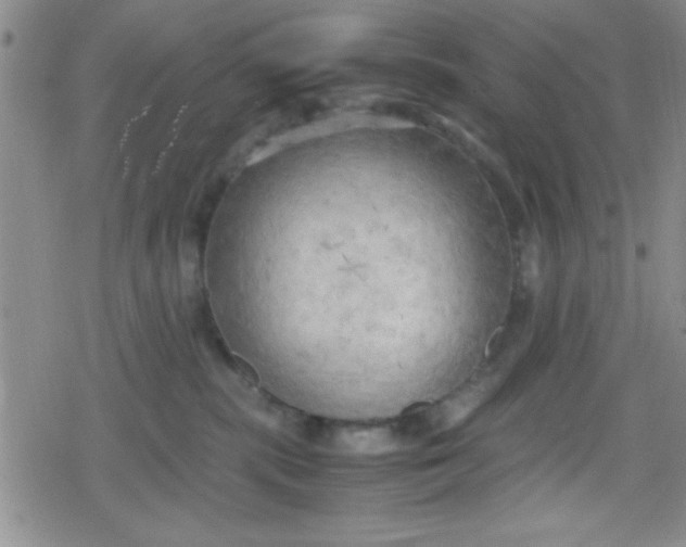 X0000079340283200612082032