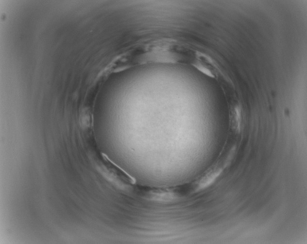 X0000079340284200612082032