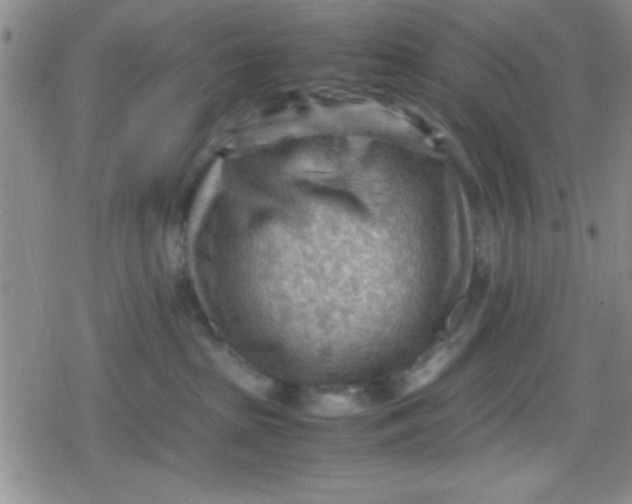 X0000079340285200612082032