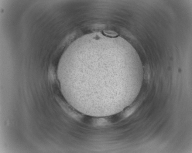 X0000079340287200612082032