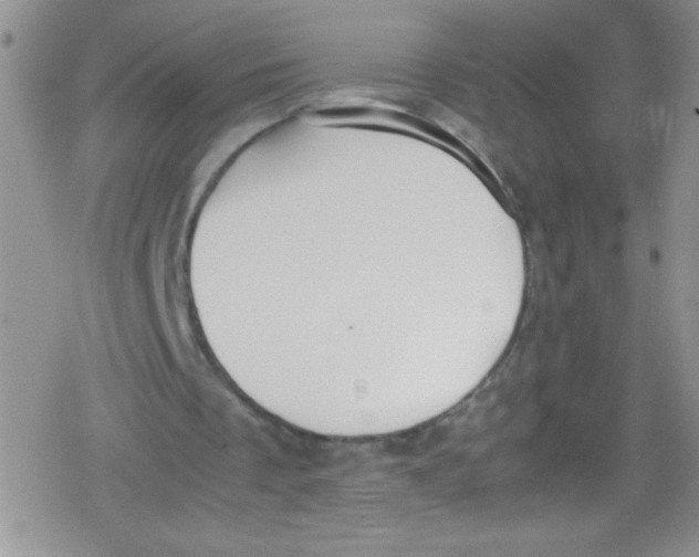 X0000079340289200612082031