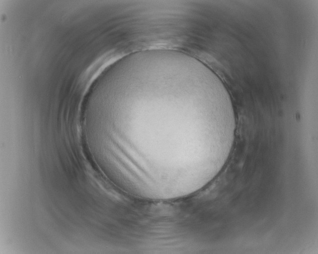 X0000079340290200612082031