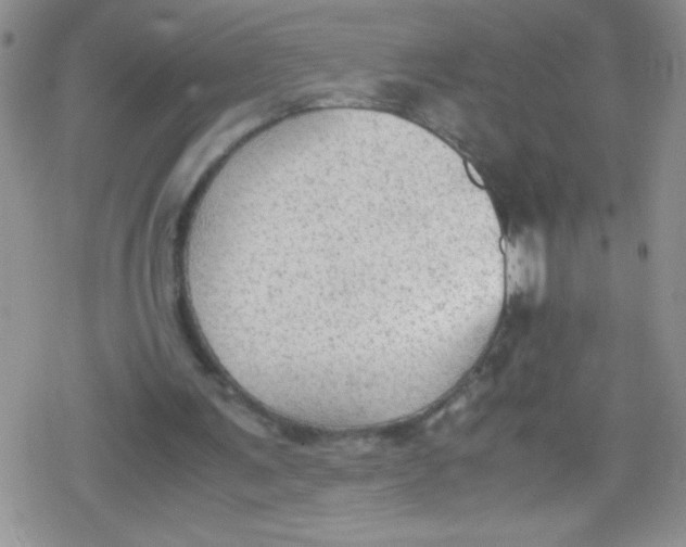 X0000079340291200612082031