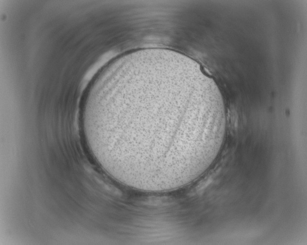 X0000079340292200612082031