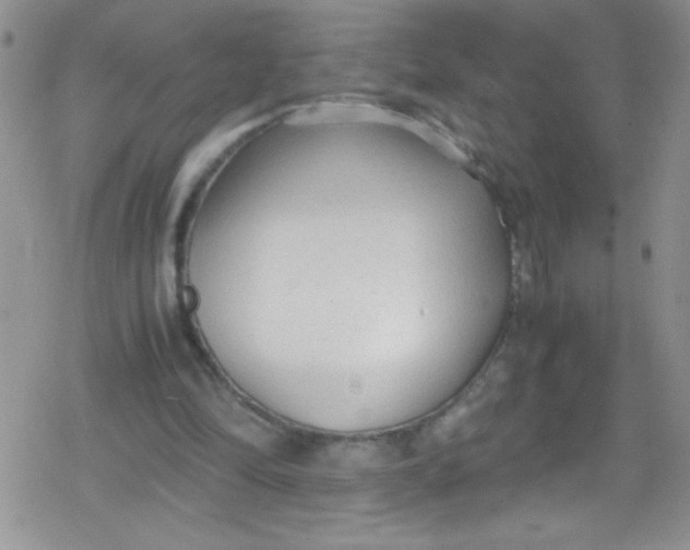 X0000079340294200612082031