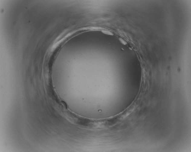 X0000079340295200612082031