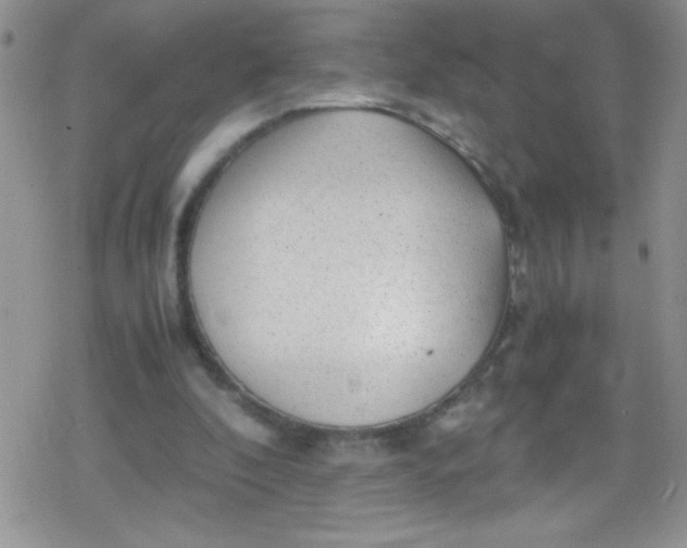 X0000079340296200612082031