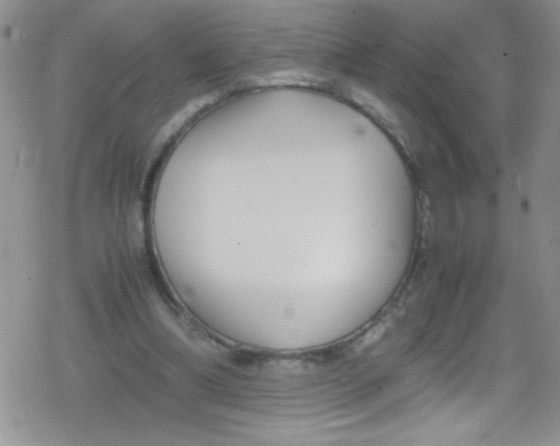 X0000079340298200612082031