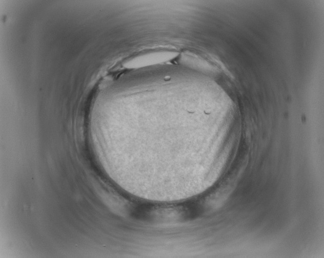 X0000079340299200612082031