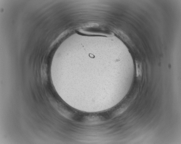 X0000079340300200612082031