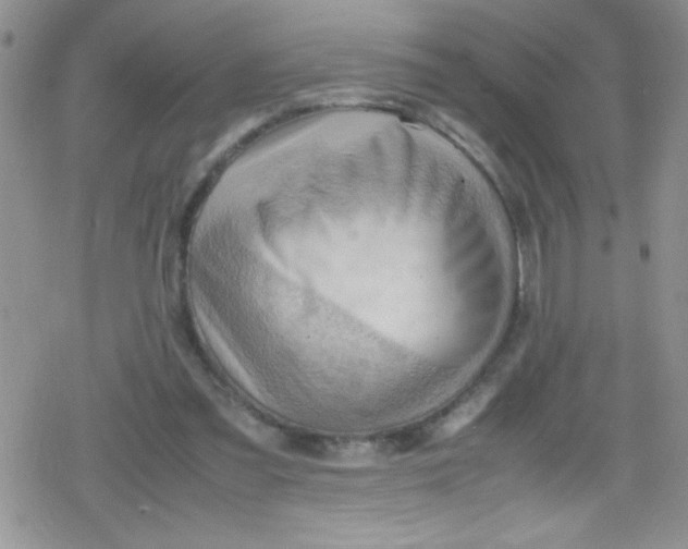 X0000079340301200612082031