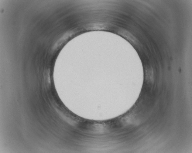 X0000079340302200612082031