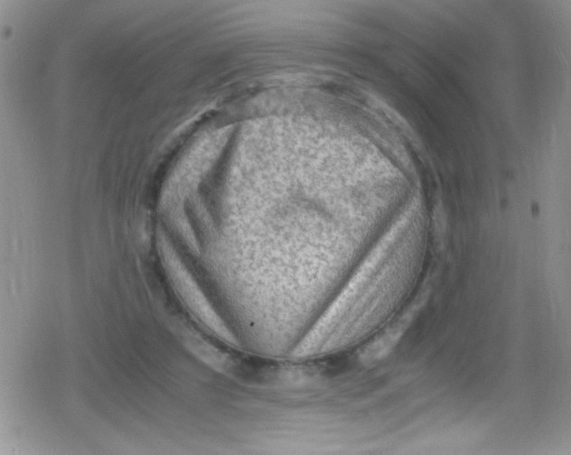 X0000079340305200612082031