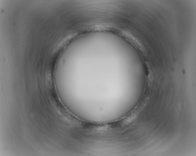 X0000079340306200612082031