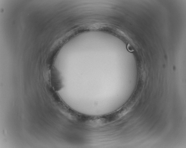 X0000079340307200612082031