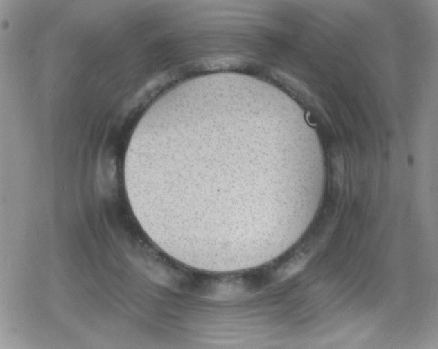 X0000079340308200612082031