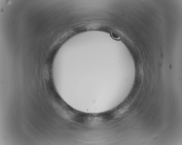 X0000079340311200612082031