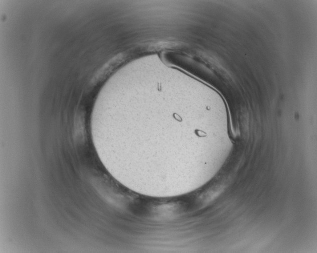 X0000079340312200612082031