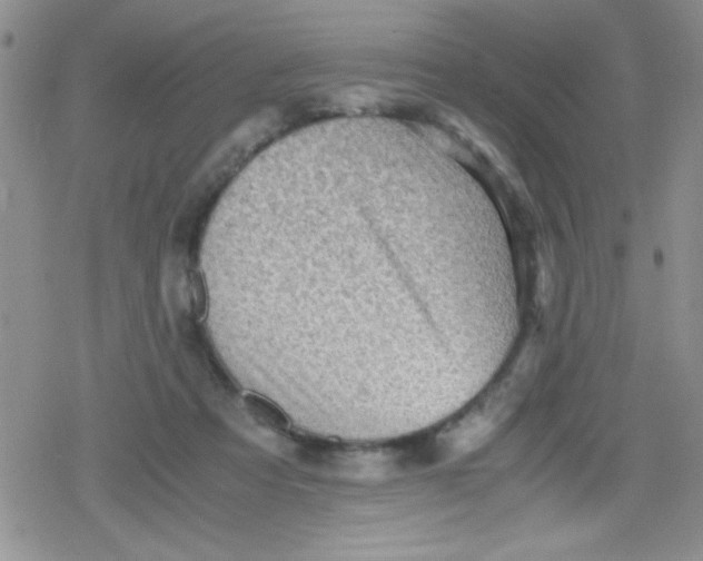 X0000079340313200612082031