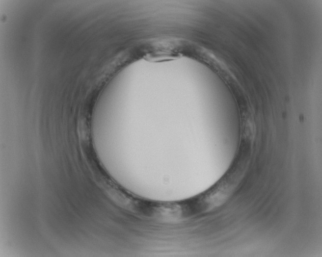 X0000079340317200612082031