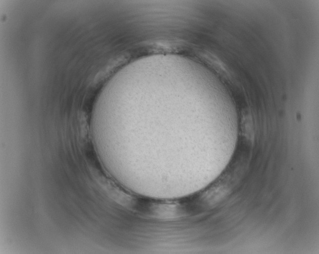 X0000079340318200612082031