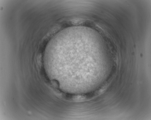 X0000079340319200612082031