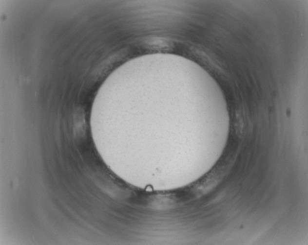 X0000079340320200612082031