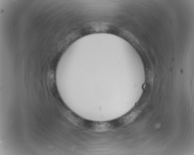 X0000079340321200612082031