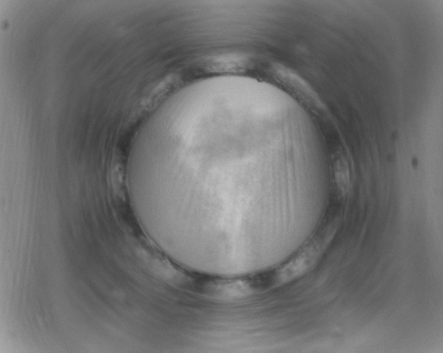 X0000079340322200612082031