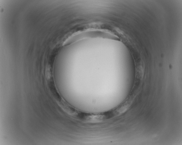 X0000079340323200612082031