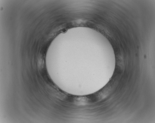 X0000079340324200612082031