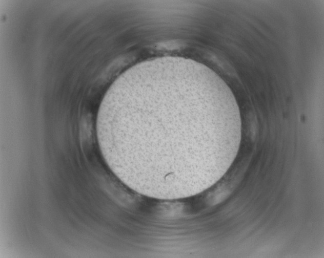 X0000079340328200612082030