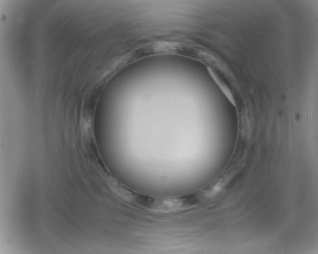 X0000079340329200612082030