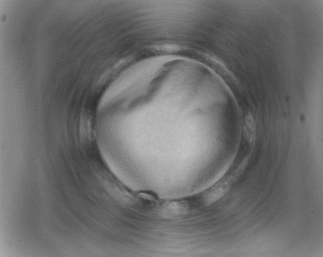 X0000079340330200612082030