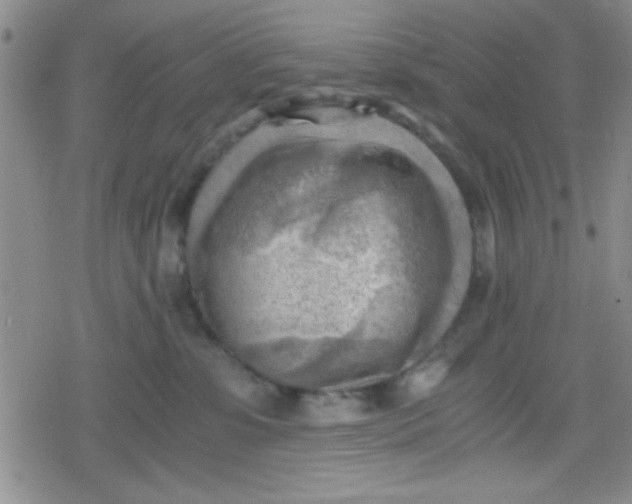 X0000079340331200612082030