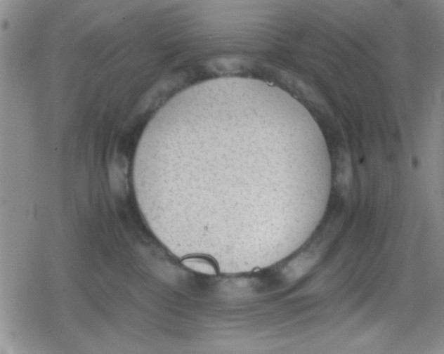 X0000079340332200612082030