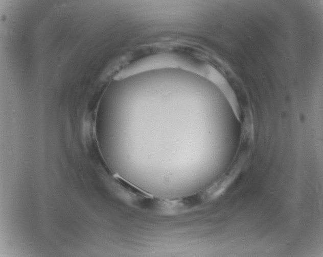 X0000079340333200612082030