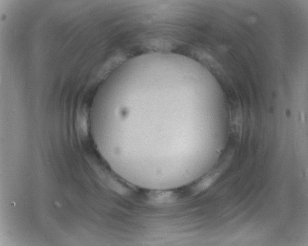 X0000079340334200612082030