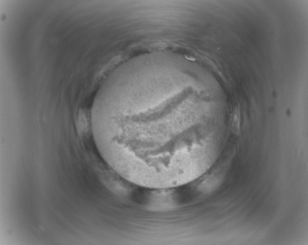 X0000079340335200612082030