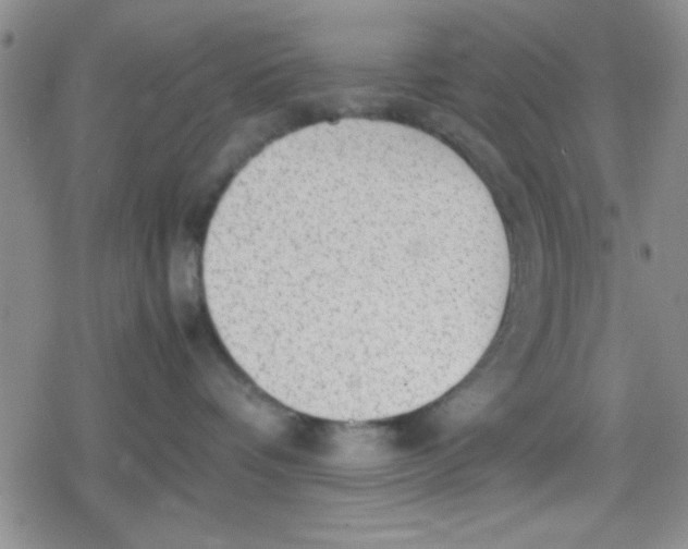 X0000079340336200612082030