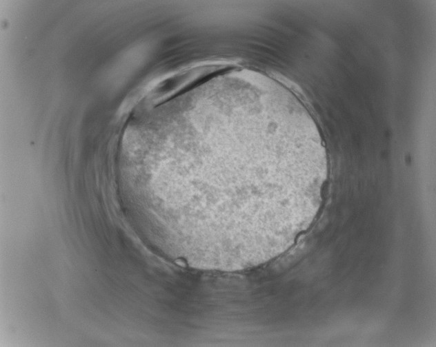 X0000079340337200612082030